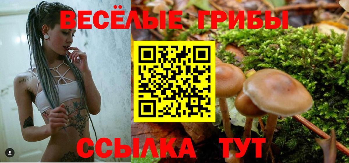 Всеволожск  Галлюциногенные грибы GOLDEN TEACHER  Галлюциногенные грибы мухоморы  Вход с VPN 
